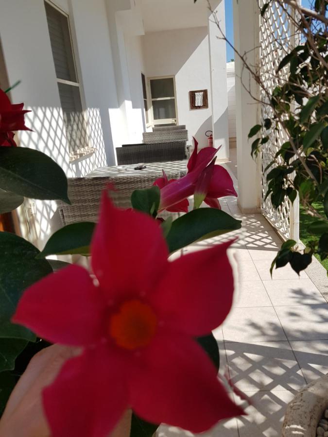Zia Mia B&B Ольбія Екстер'єр фото