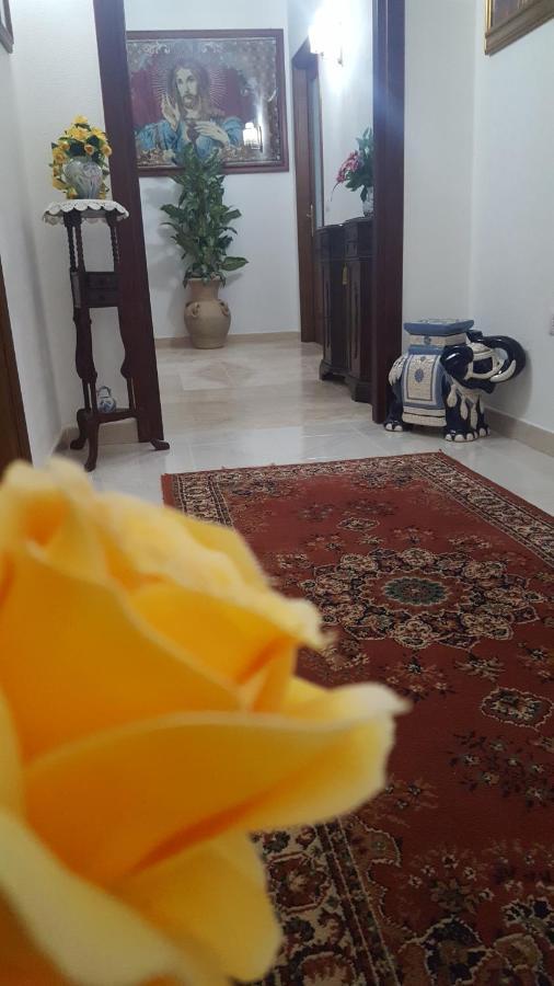Zia Mia B&B Ольбія Екстер'єр фото